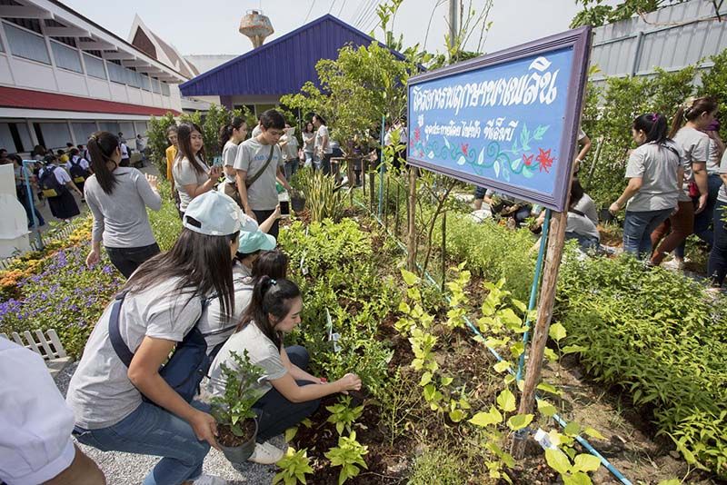 สวนพฤกษาเพลิน
