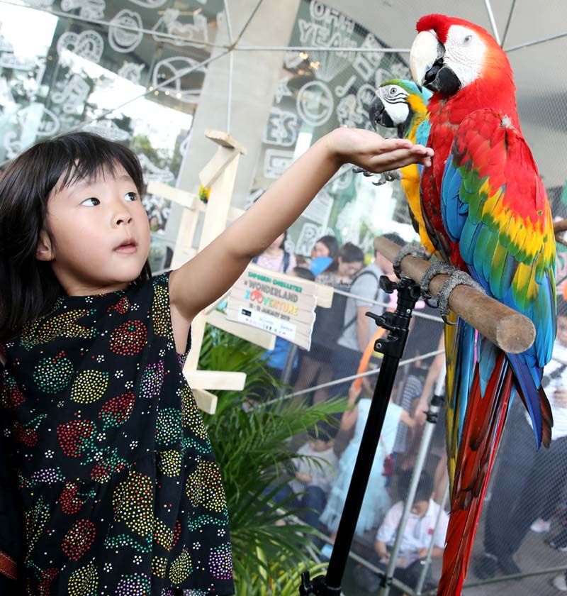 นกแก้ว จาก Freestyle Flying
Club และ Parrots’s Paradise
Club