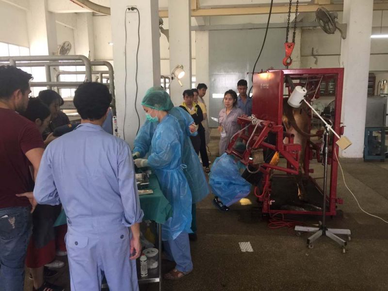 ช่วยชีวิตด้วยความเต็มใจ