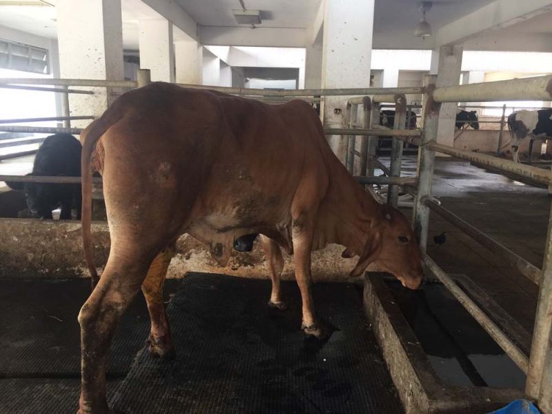 หลังได้รับการผ่าตัด