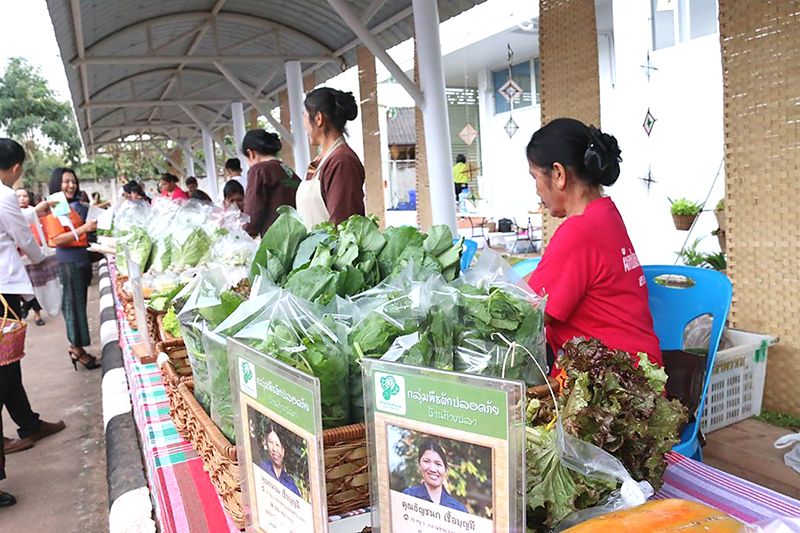ตลาดพืชผักปลอดภัยมาตรฐาน Dansai Green Net หรือ ตลาดสีเขียวที่ อ.ด่านซ้าย

