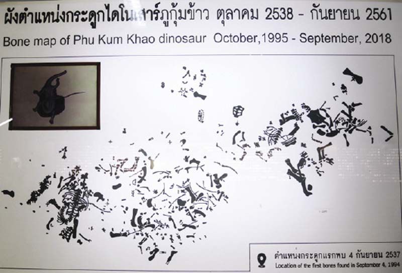 ผังการค้นพบไดโนเสาร์ตัวแรก