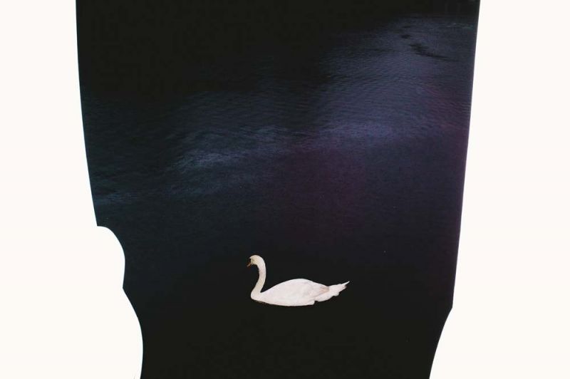 ผลงานรองชนะเลิศอันดับ 1 “Visible Light Spectrum”