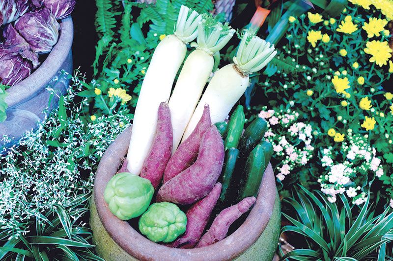 หัวไชเท้า และมันม่วง

