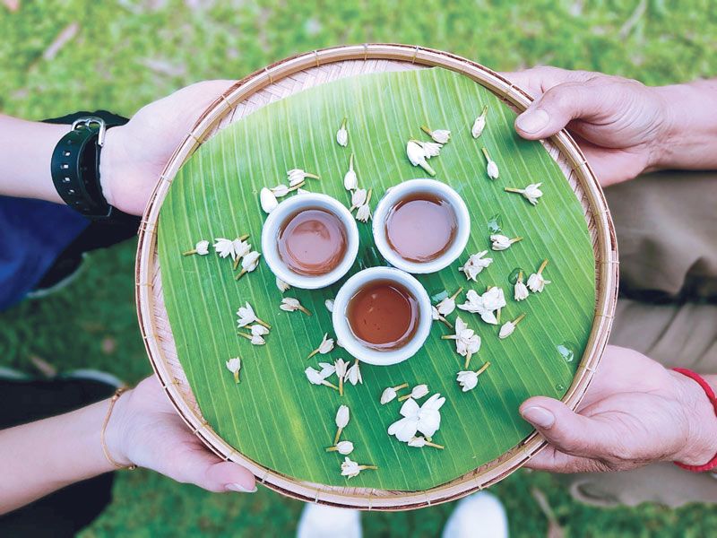 ชิมชามะลิออร์แกนิก