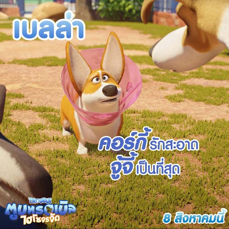 เบลล่า หมาคอร์กี้รักสะอาด จู้จี้เป็นที่สุด เธอกลัวว่าสิ่งสกปรก และความไร้สุขอนามัยจะก่อโรค! ทำให้เบลล่ามักจะมาเดินที่สวนพร้อมกับสวมปลอกกันเลียที่คอเสมอ จนกระทั่งปิ๊งไอเดียประยุกต์มันให้เป็นเครื่องดักฟังระยะไกล