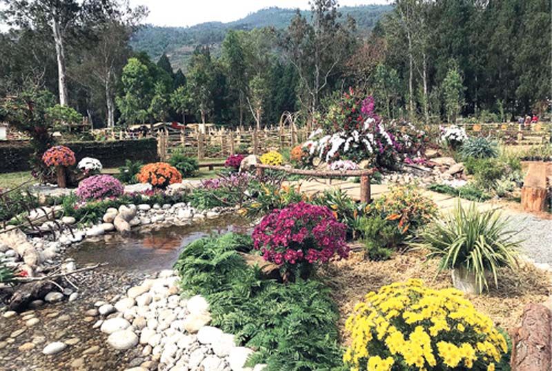 ผลงานออกแบบและจัดสวน Royal Bhutan Flower Exhibition ที่เมืองพูนาคา ประเทศภูฏาน