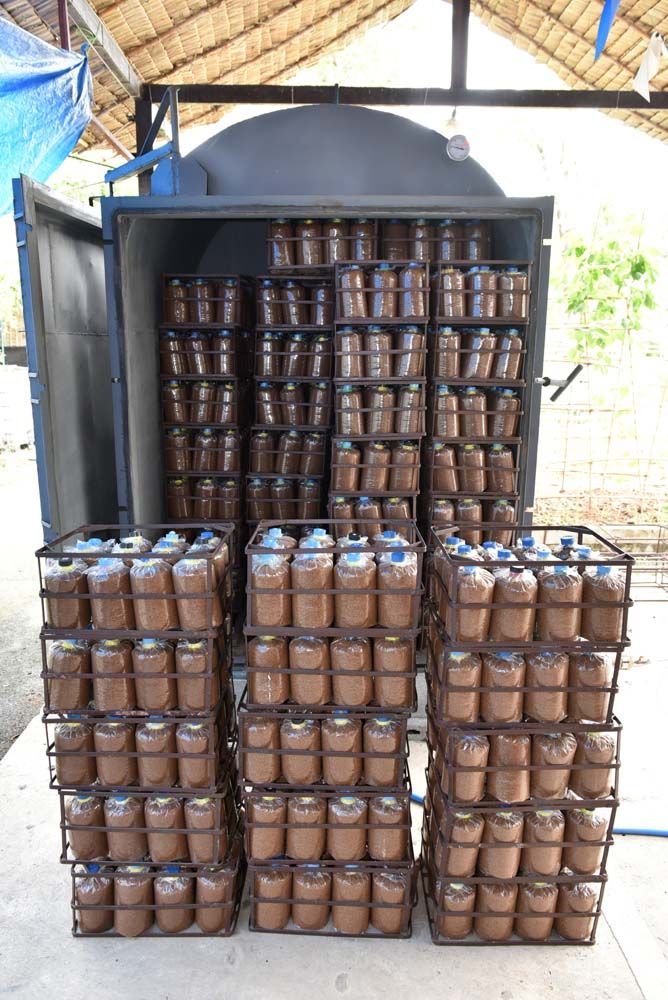 นำเชื้อเห็ดเข้าเตานึ่ง