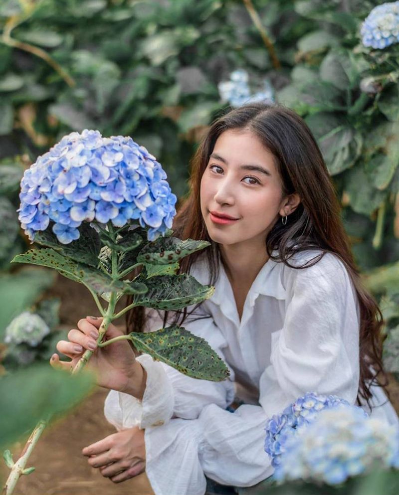 Kết quả hình ảnh cho mint chalida