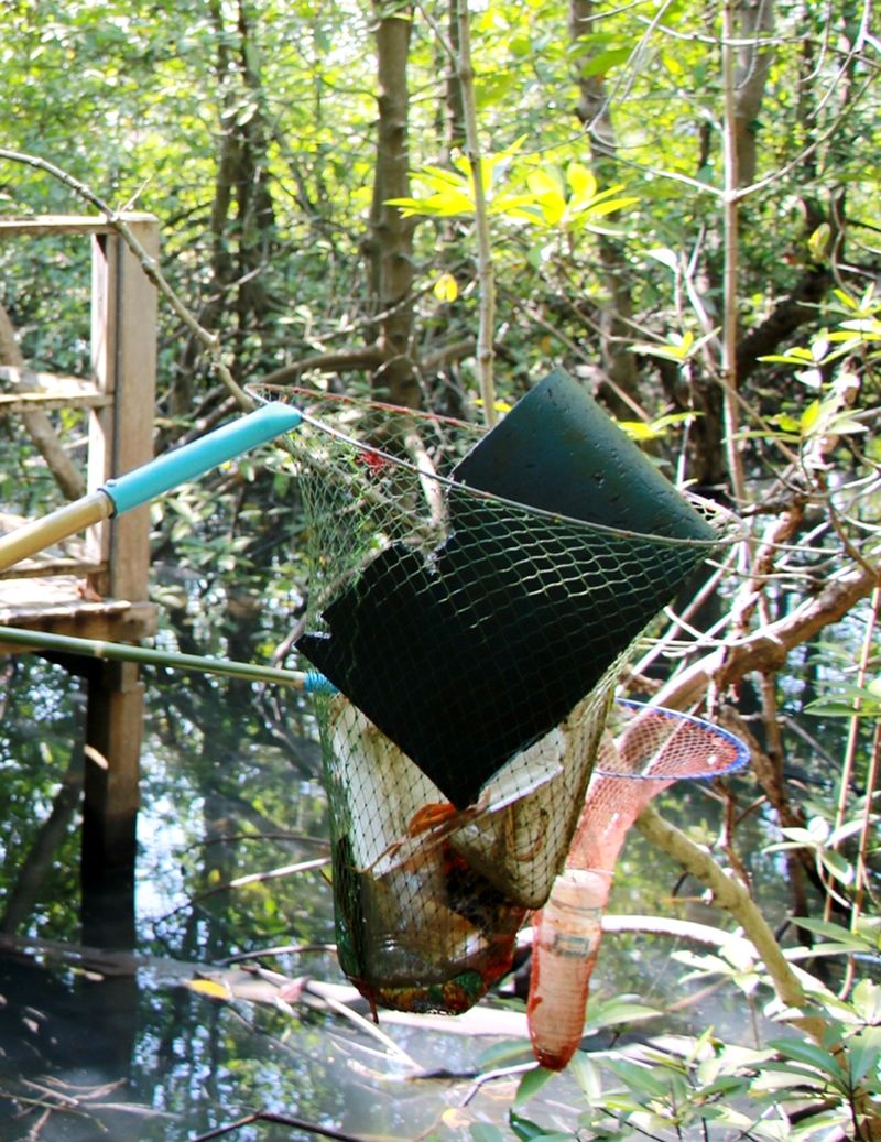 เหล่าจิตอาสารวบรวมขยะในป่าชายเลน