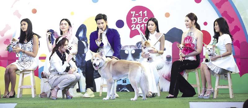 อะด็อปนำทีมฝูงเพื่อนเดอะด็อกพันธุ์เล็กของเหล่าเซเลบริตี้สาวสวยขึ้นประชันโฉม