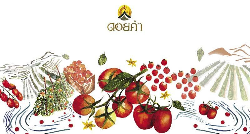 ลวดลาย เส้นทางสายมะเขือเทศ