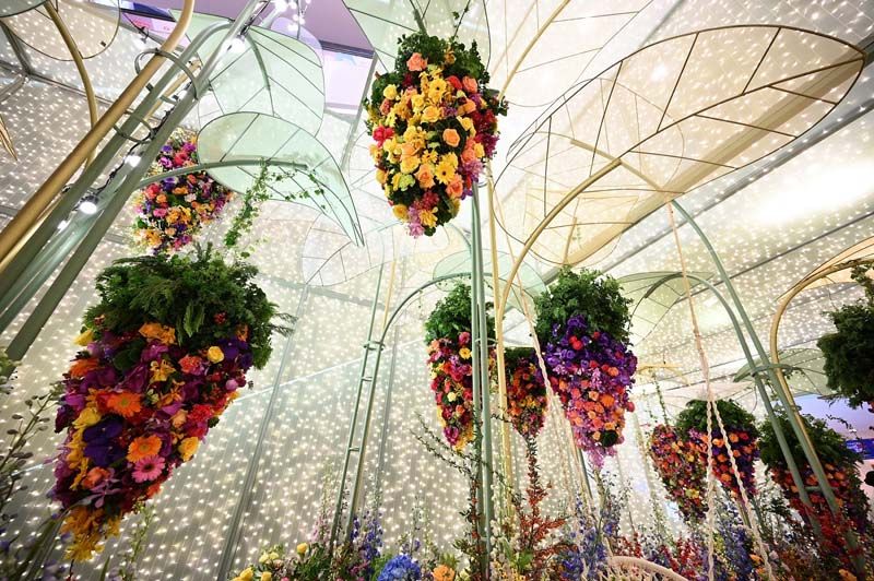 Forest of Joy และ ห้อง Chamber of Happiness