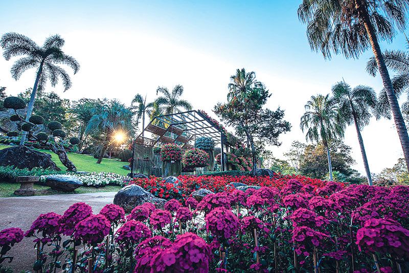 สวนแม่ฟ้าหลวง