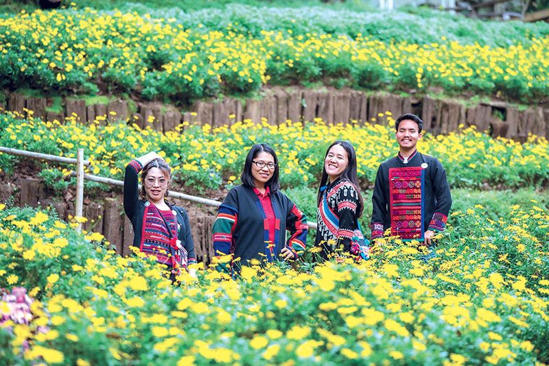 สัมผัสอากาศหนาวชมดินแดนแห่งดอกไม้ ที่สวนรุกขชาติแม่ฟ้าหลวง ดอยช้างมูบ