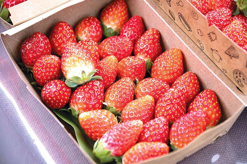 สตรอว์เบอร์รี่สดๆ