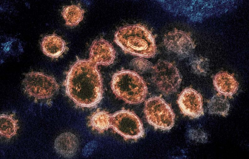Antibody Protection