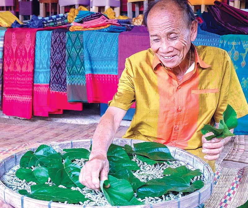 ปลูกหม่อน เลี้ยงไหม