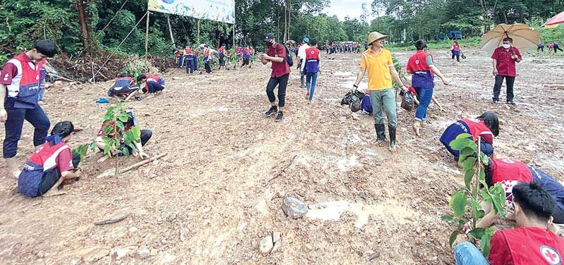 สำนักงานยุวกาชาด จัดโครงการ ป่าที่ภักดี “99 ปี สู่ 100 ปี สืบสานภักดีงานพระบรมราชชนนีพันปีหลวง”