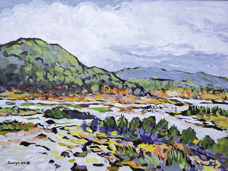 ผลงาน สุริยะ ฉายะเจริญ