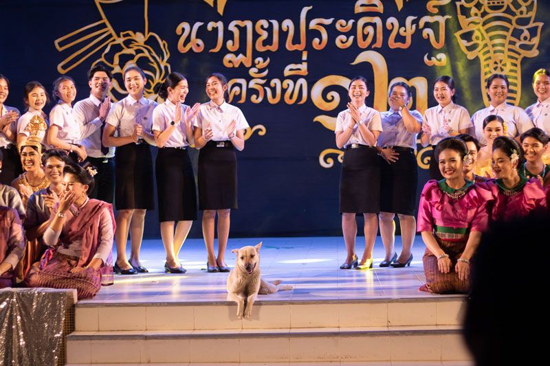 โบ้ เอ็งมายังไงเนี่ยยย