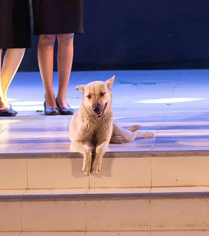 กล้องเพียบเลย แจกยิ้มซะหน่อย