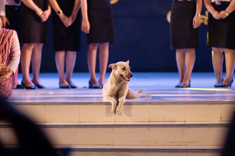 โปรยยิ้มไป 1 ที 