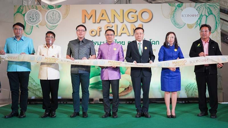 พิธีเปิดงาน Mango of SIAM ที่สุดแห่งมะม่วงไทย ถูกใจทั่วโลก