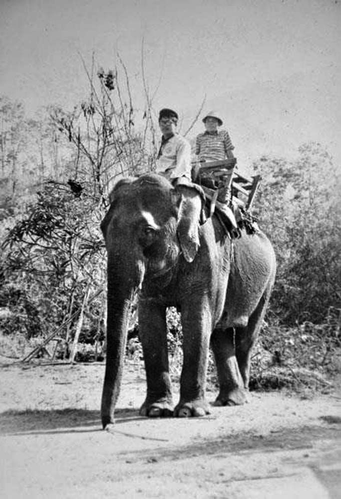 ช้างหลวงใช้ในราชการ