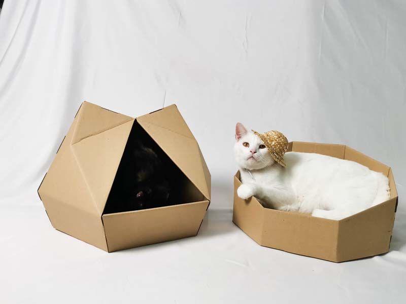 ที่นอนแมวกระดาษรักษ์โลก POLYGAMI