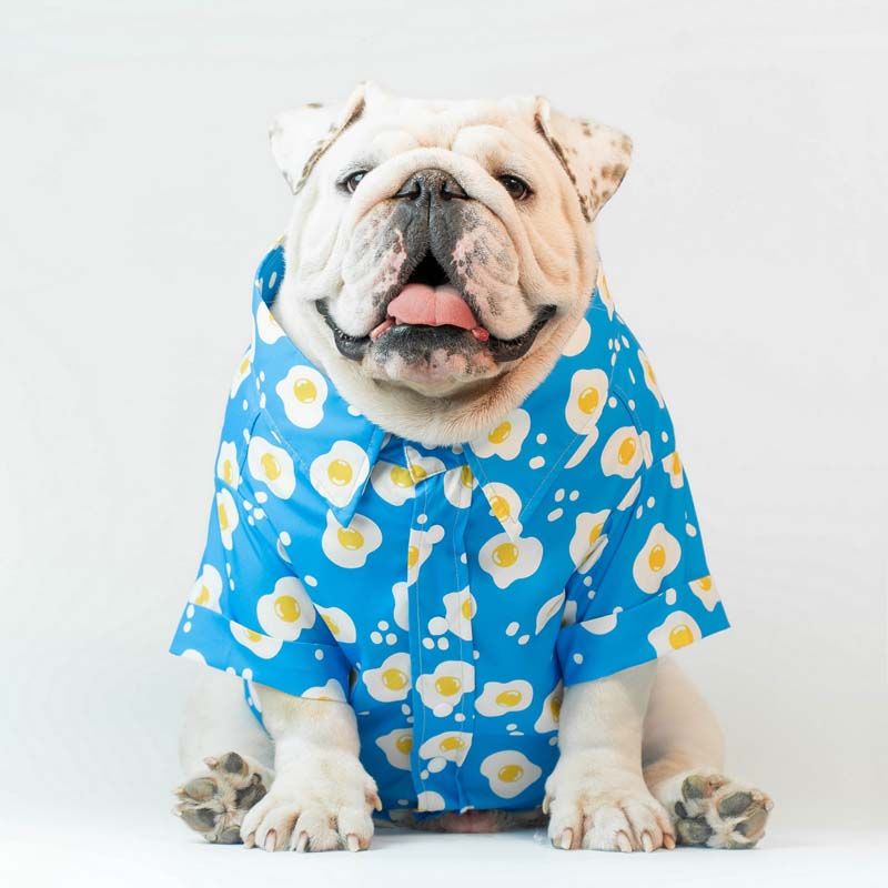 ชุดสุดคิวท์จากร้าน Wonton Collection