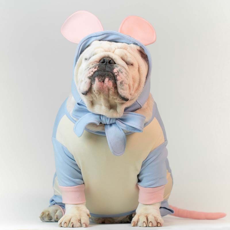 ชุดสุดคิวท์จากร้าน Wonton Collection