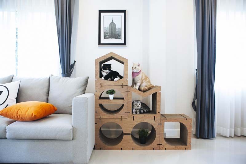 KAFBO เฟอร์นิเจอร์สำหรับลับเล็บแมว