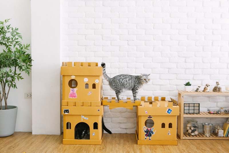 KAFBO เฟอร์นิเจอร์สำหรับลับเล็บแมว