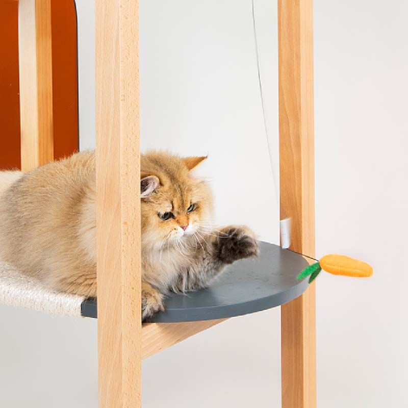 เบ็ดตกแมวอัตโนมัติ จาก Taily Buddy