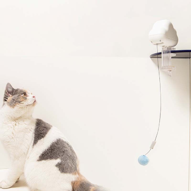 เบ็ดตกแมวอัตโนมัติ จาก Taily Buddy