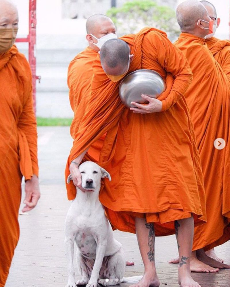 ขอบคุณภาพ : wanwanaaw