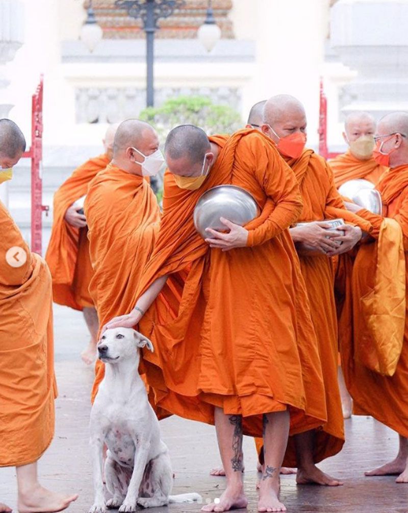 ขอบคุณภาพ : wanwanaaw