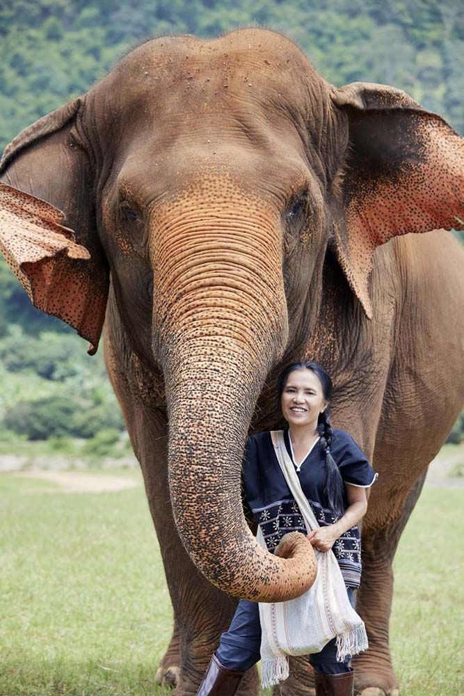 แสงเดือน ชัยเลิศ ประธานมูลนิธิอนุรักษ์ช้างและสิ่งแวดล้อม