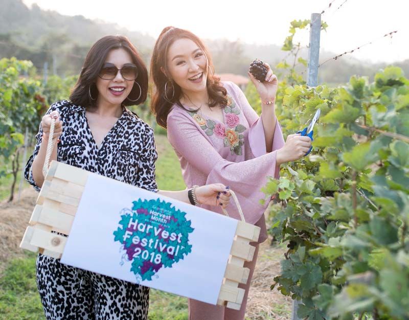 โบว์-ณชา จึงกานต์กุล สนุกสนานกับการเก็บ องุ่น กับเพื่อนสาว