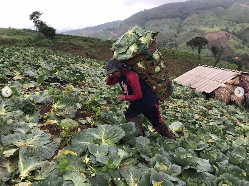 ภาพ : annethong