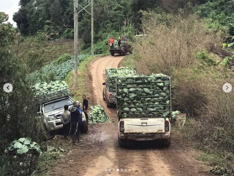 ภาพ : annethong