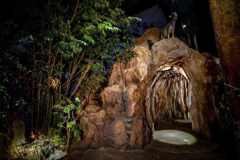 พิพิธภัณฑ์ป่าดงพงไพร