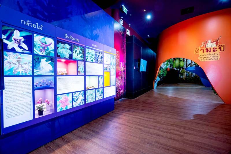 พิพิธภัณฑ์มหัศจรรย์พันธุกรรม