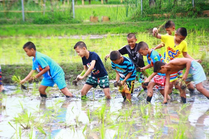 ลงมือปฏิบัติจริงในกิจกรรมการเรียนรู้