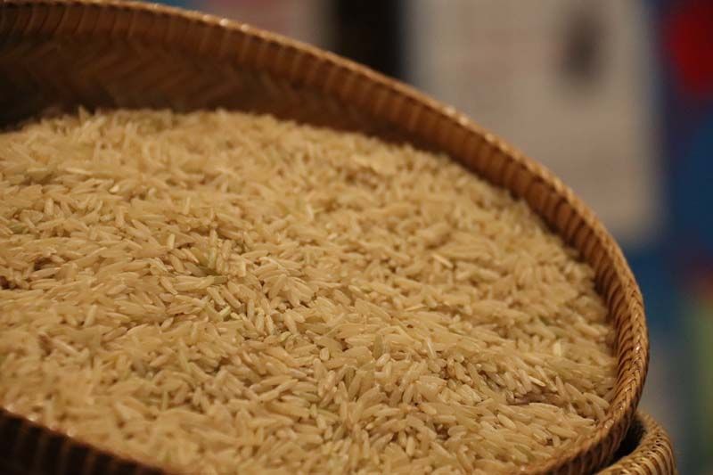 ผสานความร่วมมือในการพัฒนาข้าวสายพันธุ์ต่างๆ