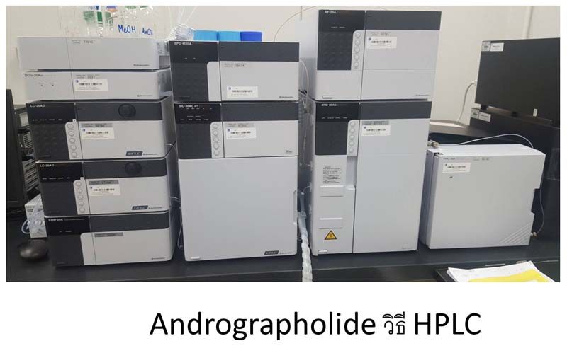 Andrographolide โดย วิธี HPLC