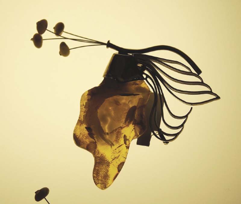 ซากสัตว์ใน Amber