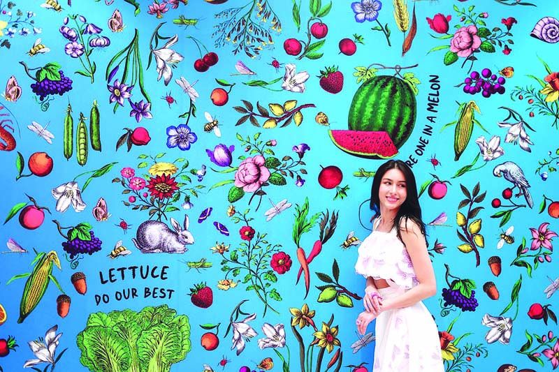 แพม-ปาเมล่า ปาสิเนตตี้

