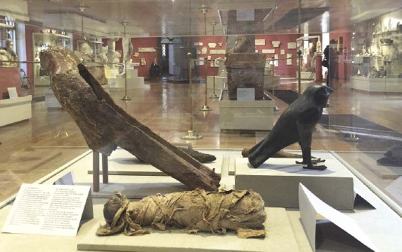 มัมมี่แมว